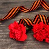 carnations and St. George's ribbon on grey wooden background