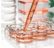 Разное4_page-0001 (2)